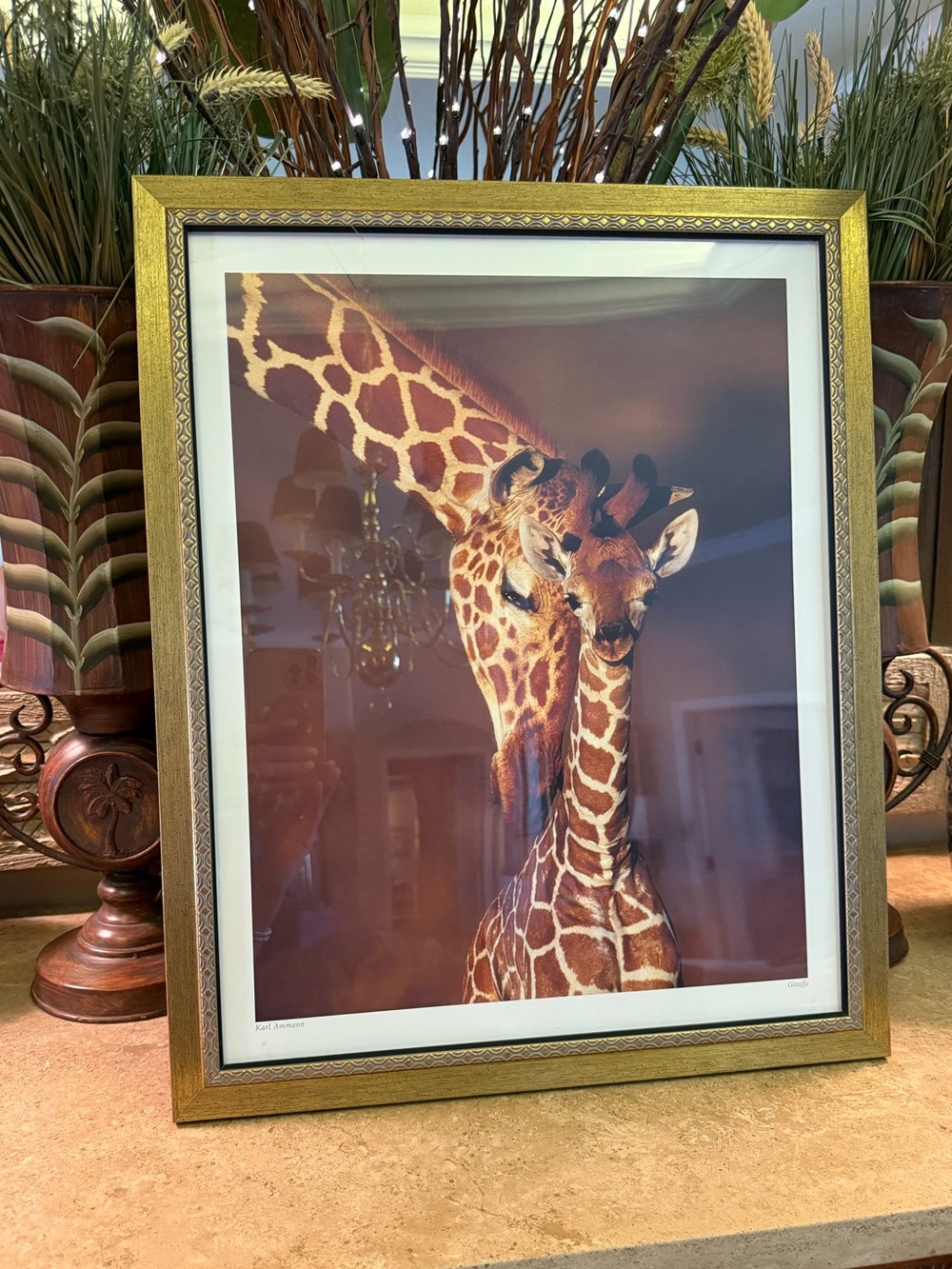 Karl Ammann Framed Giraffe Mother & Calf Art Print in Gold Frame